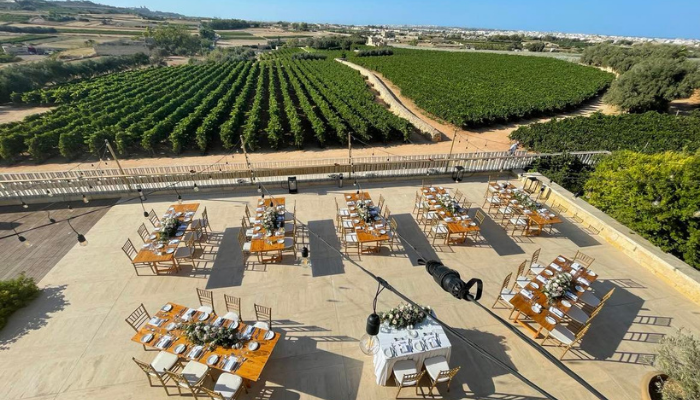 vineyard-wedding-in-malta