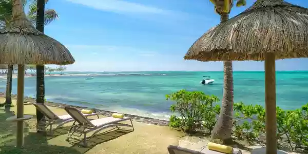 Tropical Attitude