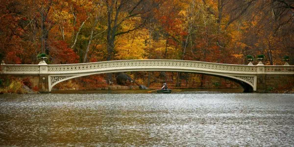 Bow Bridge, Central Park