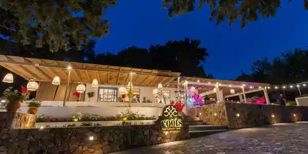Roots Restaurant & Bar