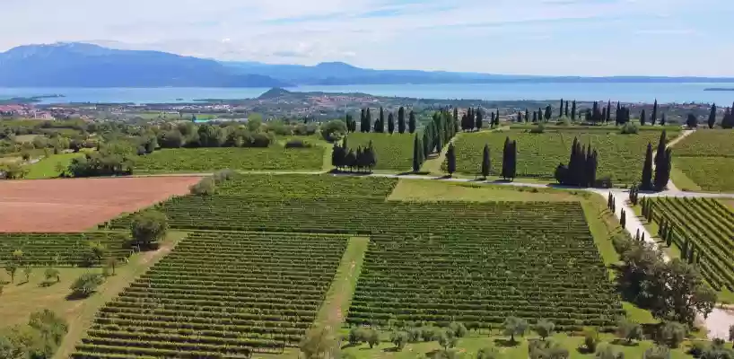 Cantina Bottenago