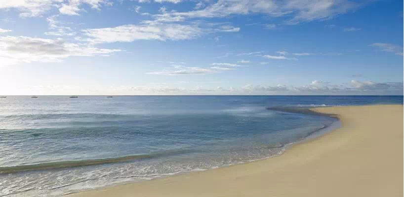 Crystal Cove