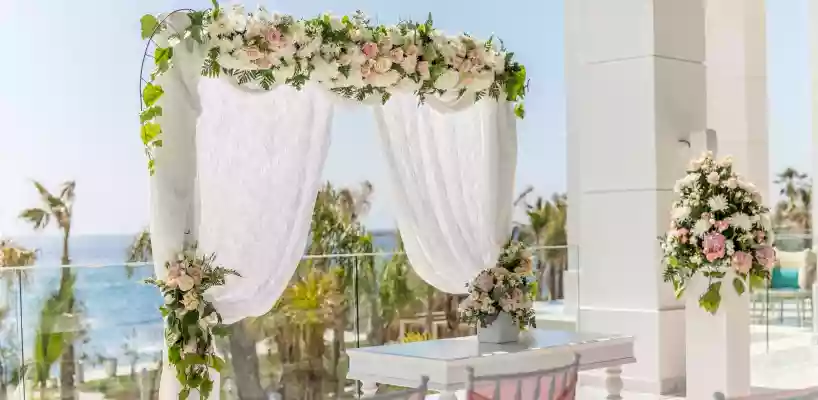 Amavi Hotel