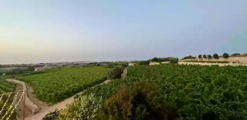 The Winery (Siggiewi) 4