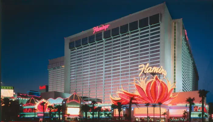 Flamingo exterior