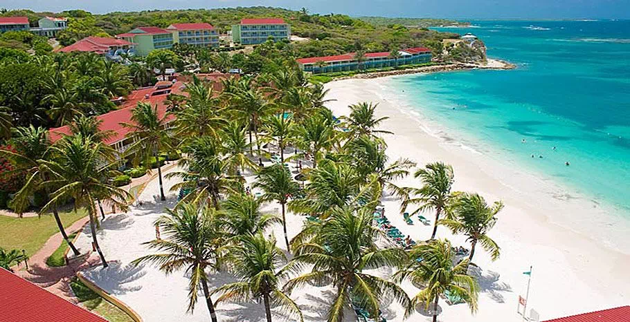 grand pineapple view