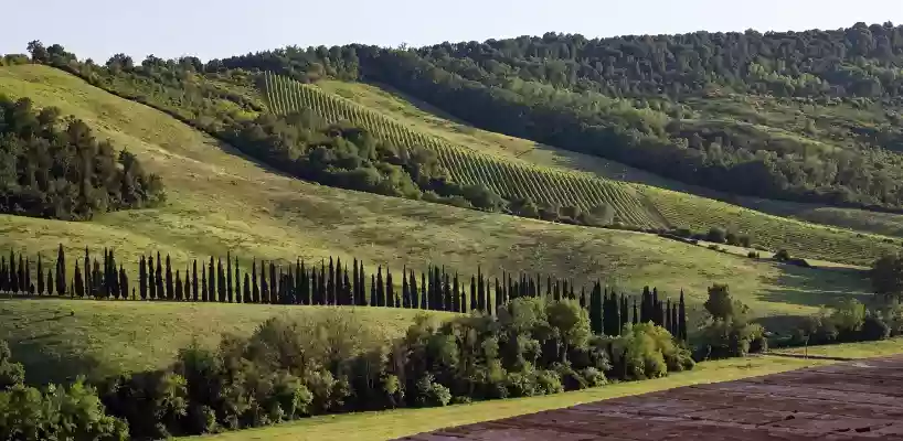 Castello Di Montauto 10
