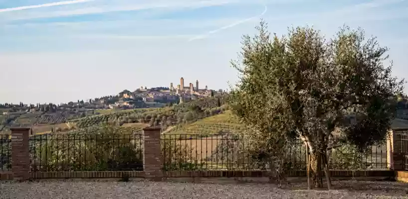 Castello Di Montauto 9