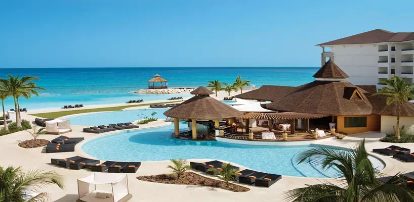 Secrets Wild Orchid